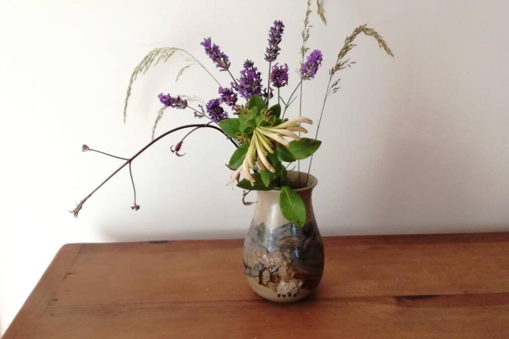 הלסטון Farm Accommodation - The Lizard Peninsula, Cornwall מראה חיצוני תמונה
