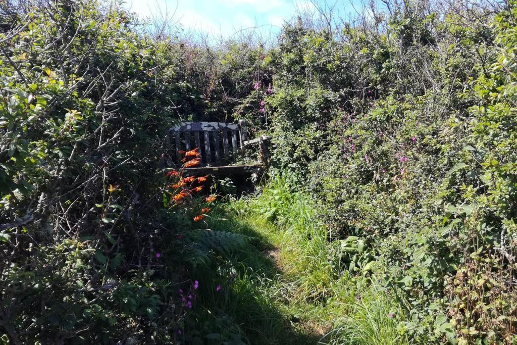 הלסטון Farm Accommodation - The Lizard Peninsula, Cornwall מראה חיצוני תמונה